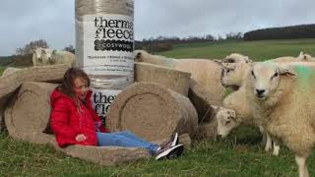 Thermafleece CosyWool 100mm Sheep Wool Roll - desktop-video-preview-2